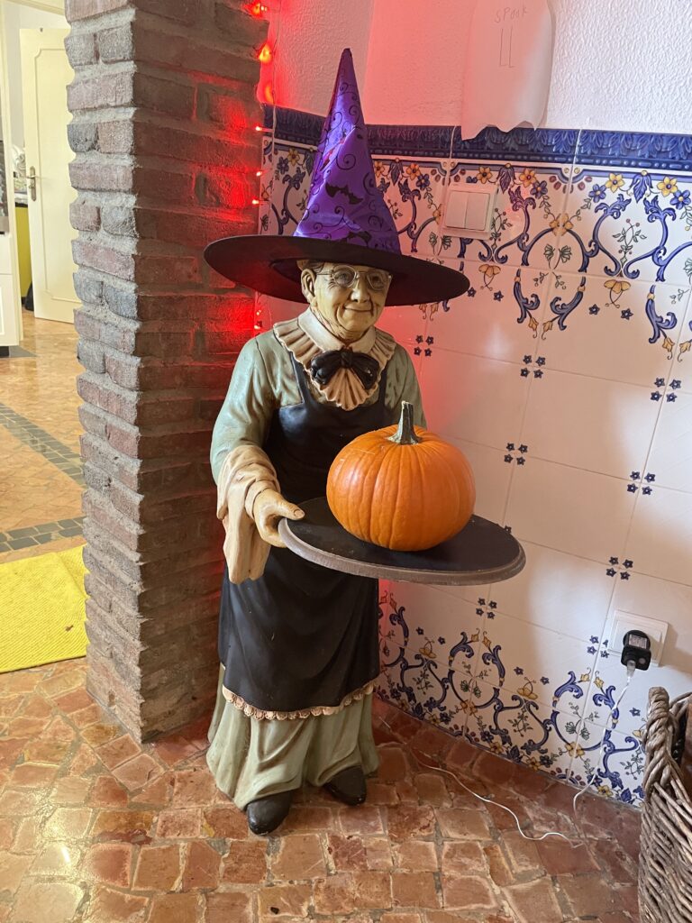 Our portuguese lady dressed up for halloween!